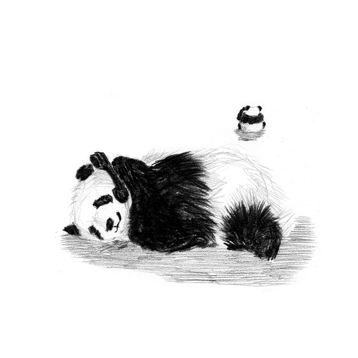 animal black Buddy friend friends friendship Panda  pandas pencil phone