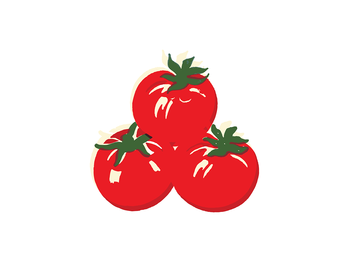 canned tomato fruit artwork Fruit Illustration ILLUSTRATION  Tomato typography  