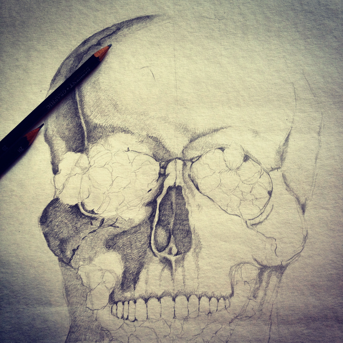 ilustracion skull Flowers Flores calavera calaca lapiz acuarela pencil watercolor frame cuadro Marco