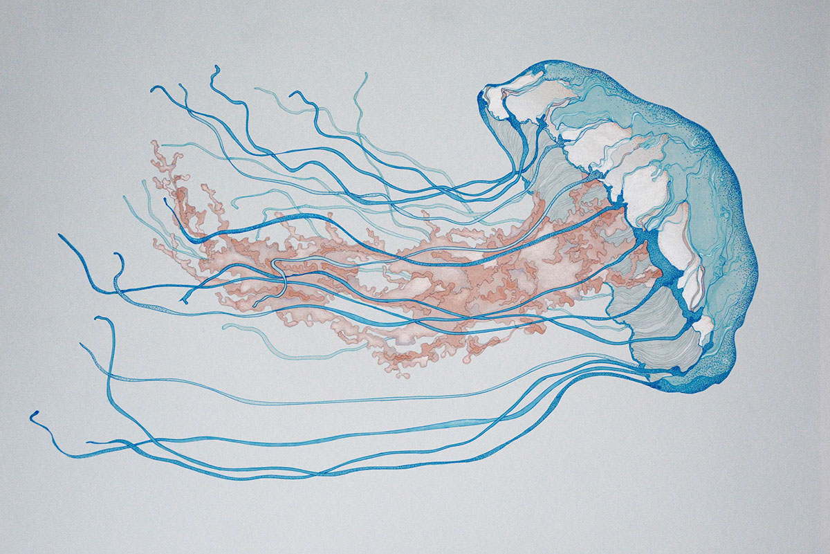 jellyfish sea cretaure floating under wather lines dots