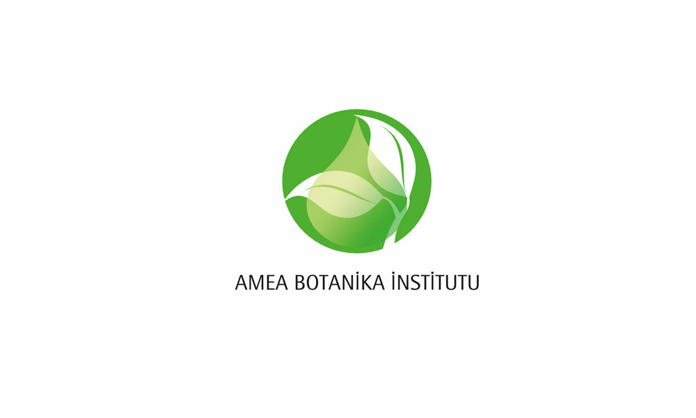 botany graphic design  visual identity logo