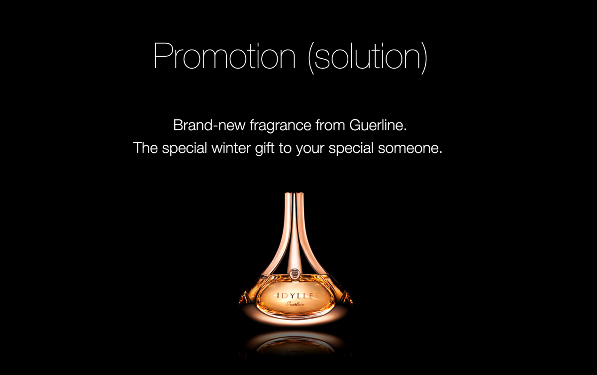 promotion plan marketing   brand cosmetics campaign