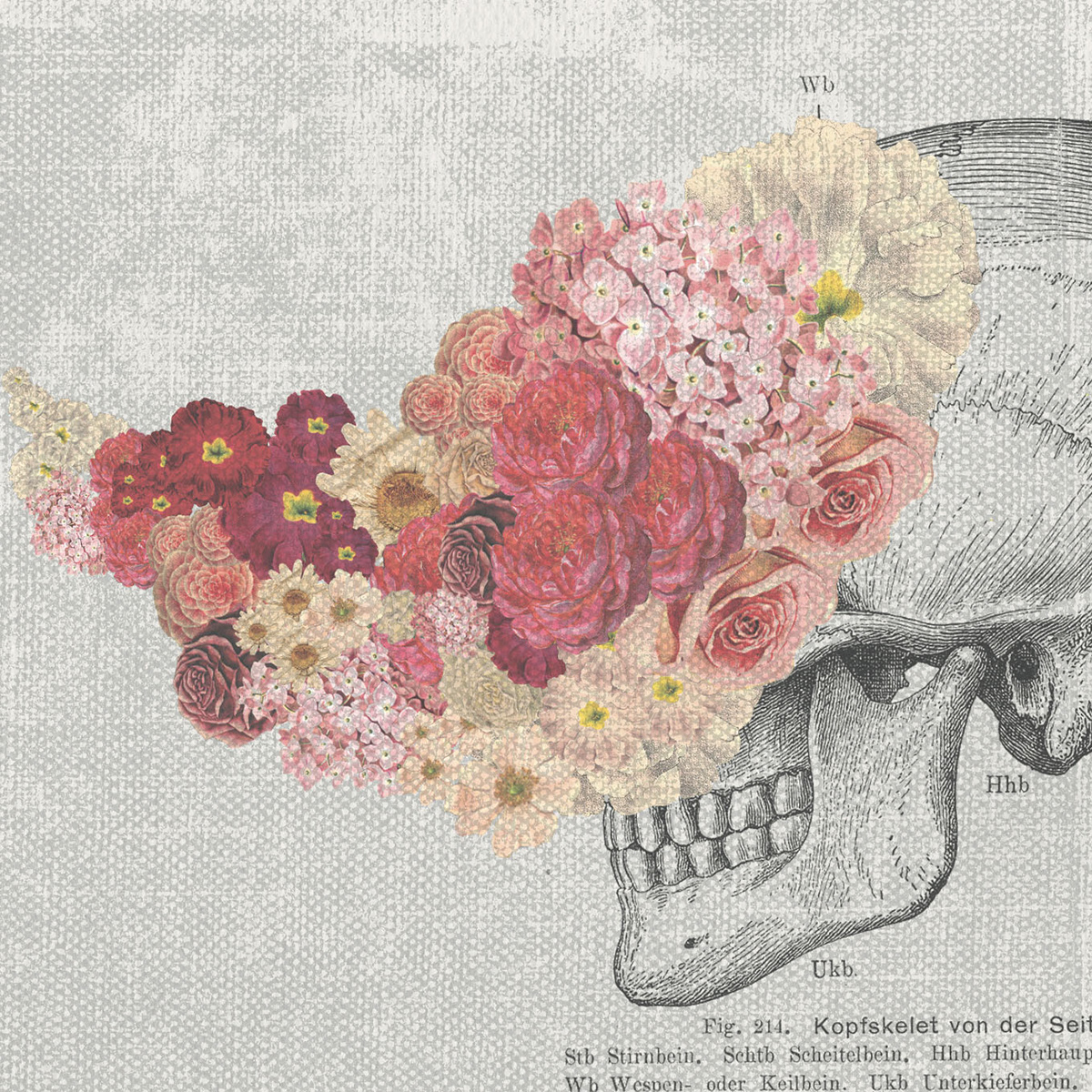 forest woods deer Gun Hunting city cityscape rooftop rooftop view collage vintage skull Flowers Nature wood trees wild animals watercolor Handlettering handmade mixed media fine art pen drawing pen and ink salon 91 cape town head shooting beard Mieke Mieke van der Print Media prints kloofstreet photoshop