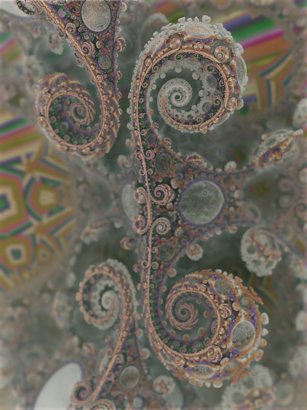 fractal art 3D Spiral Nature