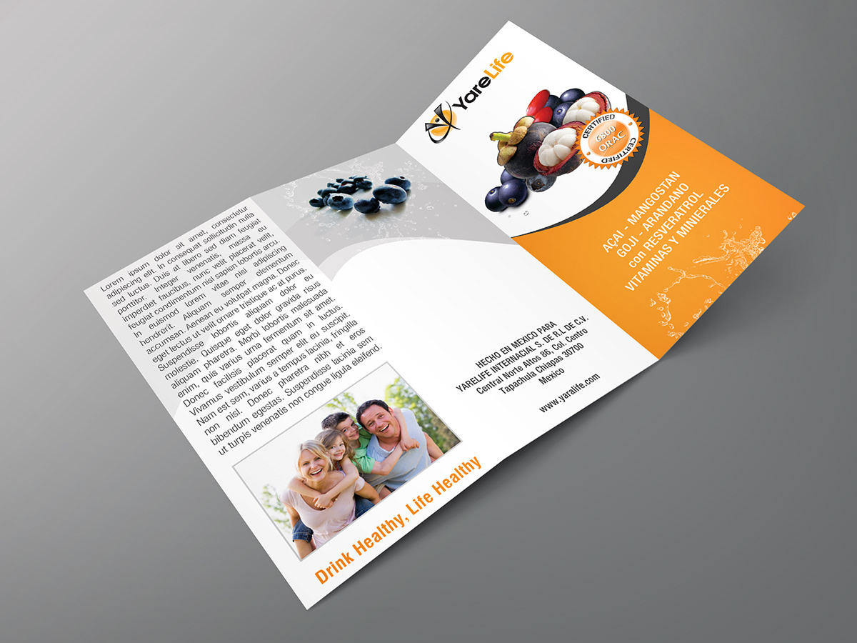 trifold brochure brochure design