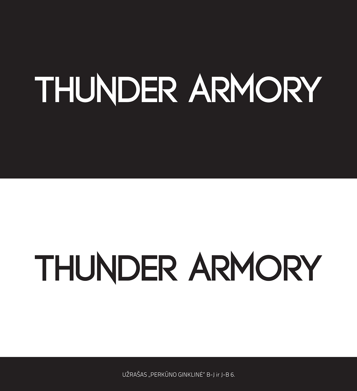 thunder  armory logo tactical Gun guns Military Custom AR15 carbine Weapon
