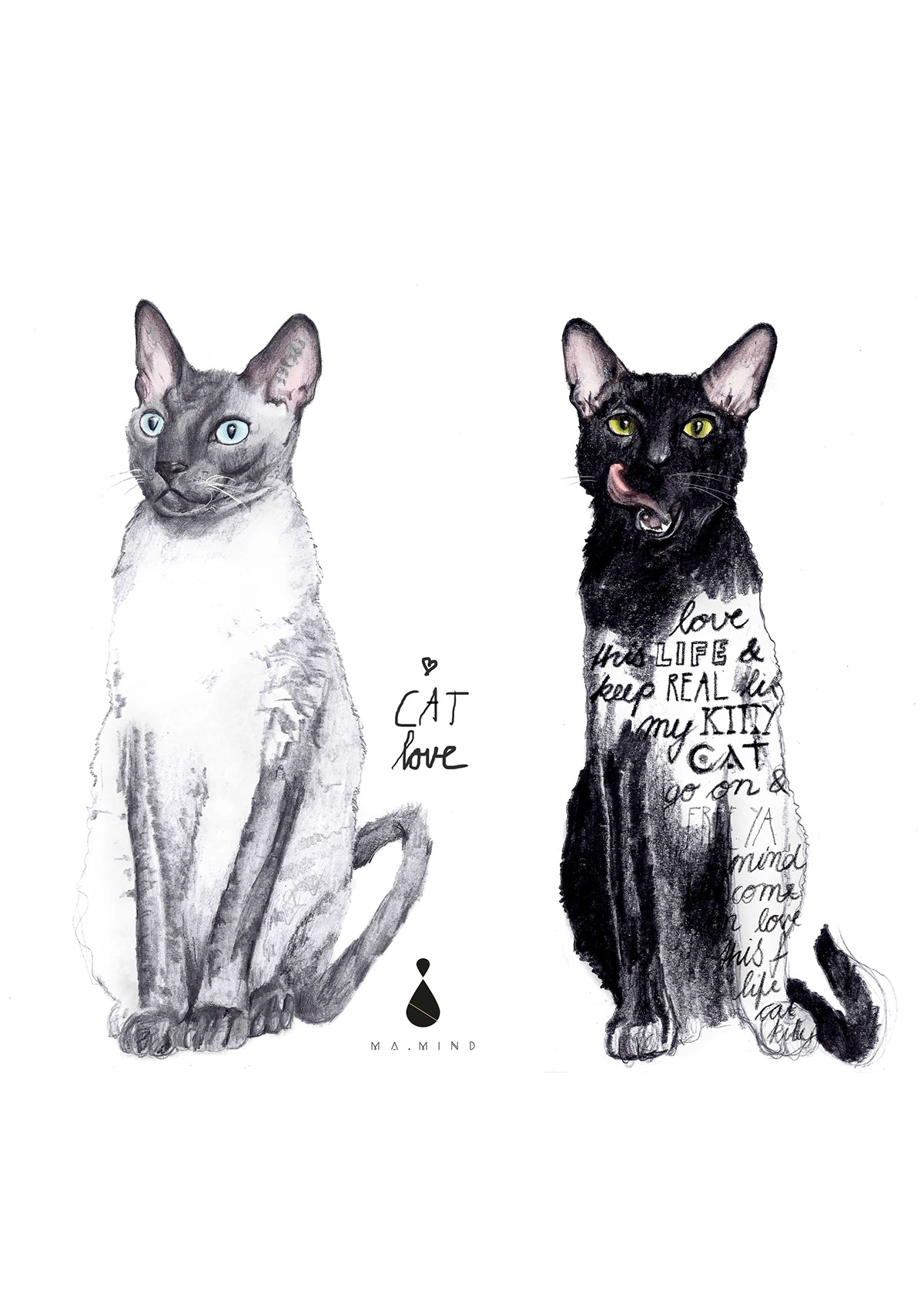 cornisch rex art t-shirt design Cat kitty Love Nature animal lettering pencil digital colour graphic creative