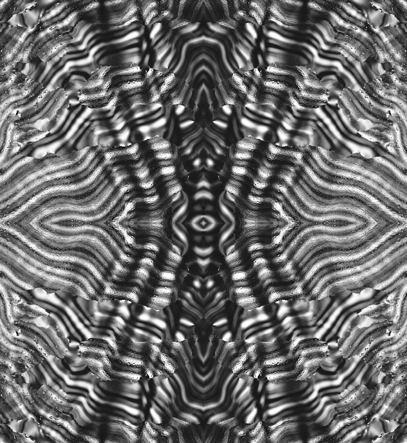 psychedelic lsd trip trip black and white conceptual lines dizzy lines dizzy sensations b&w line water drops drop