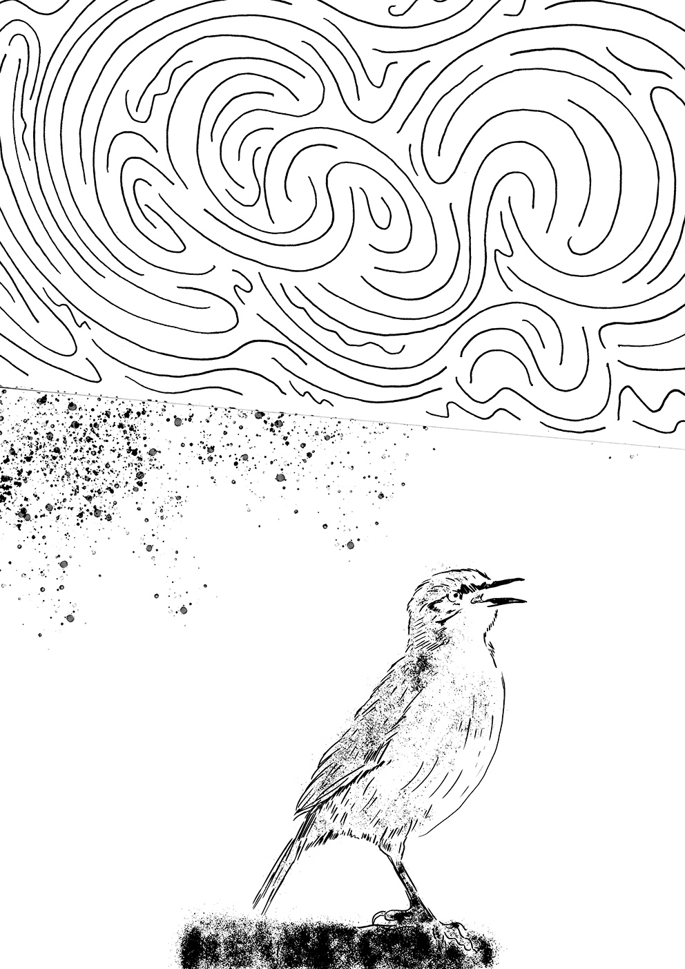 editorial ilustracion ilustration dibujo Digital Art  Portada portada de libro animales art