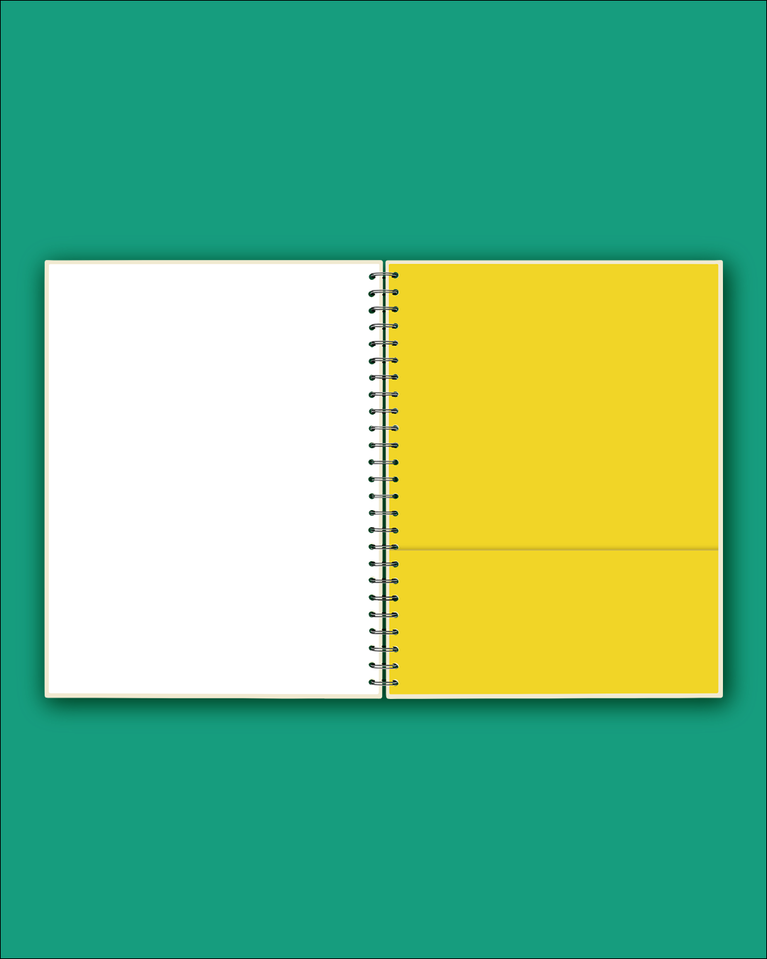 moleskine notebook caderno