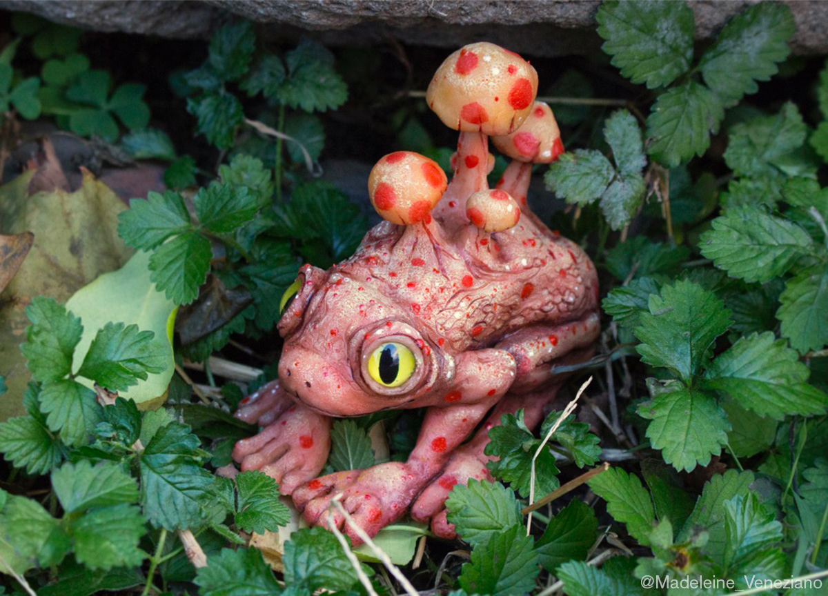 sculpey polymer clay Frog sculpture mushroom watercolor sculpey sculpture Acrylic paint frog illustration brochure graphic design 