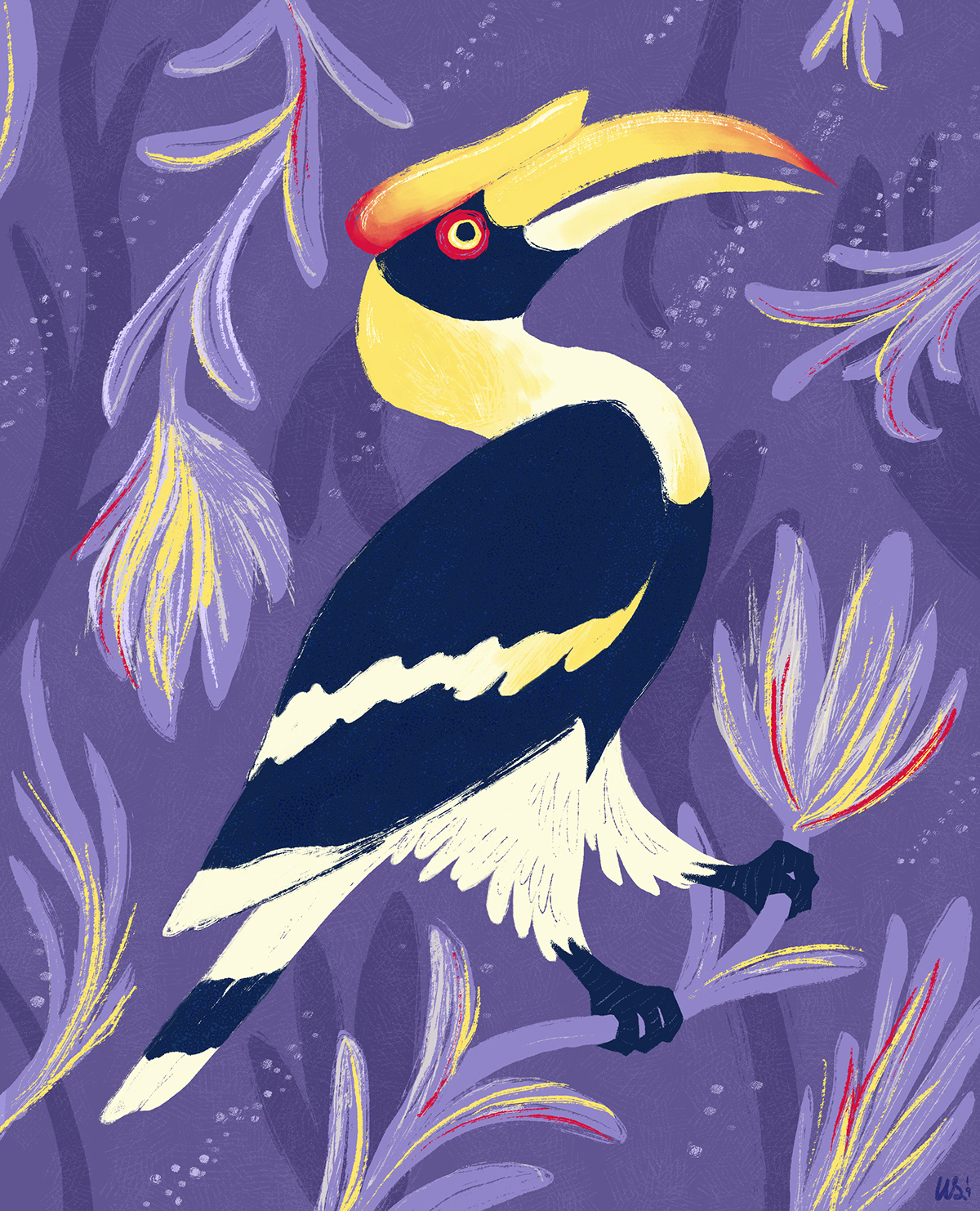 bird hornbill bird art purple yellow Tropical jungle