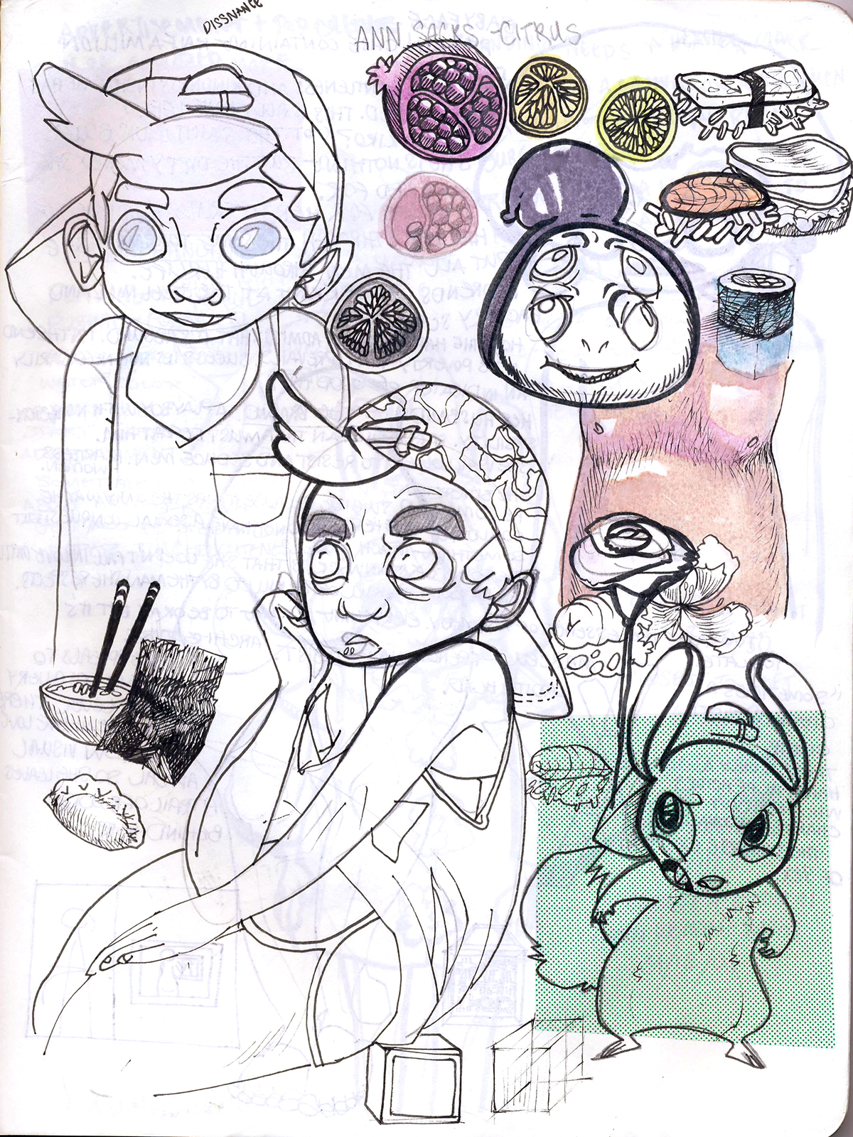sketches drawings journal