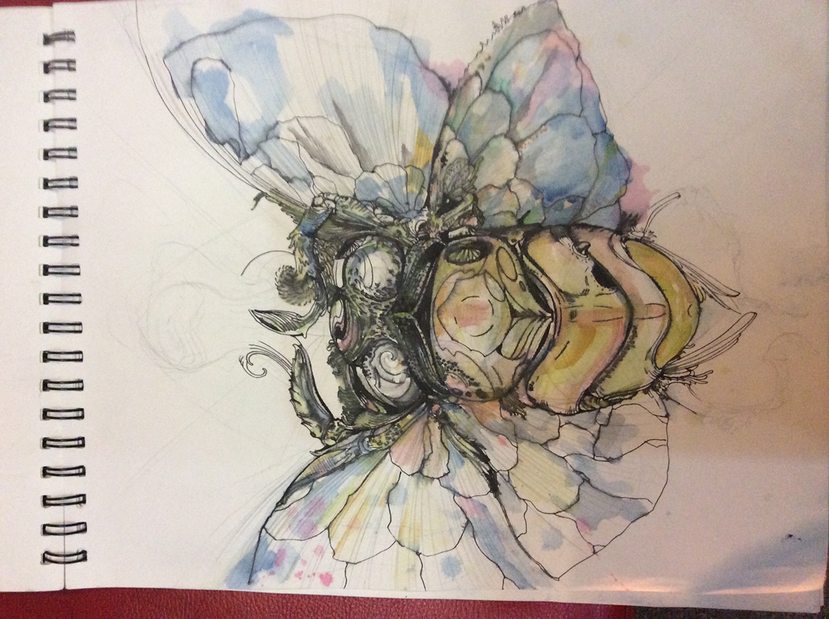 bug watercolor draw sketch màu nước 5hadowsart