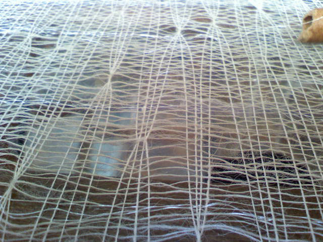 weaver weaving spider nest fabric contexture artist art Art Installation