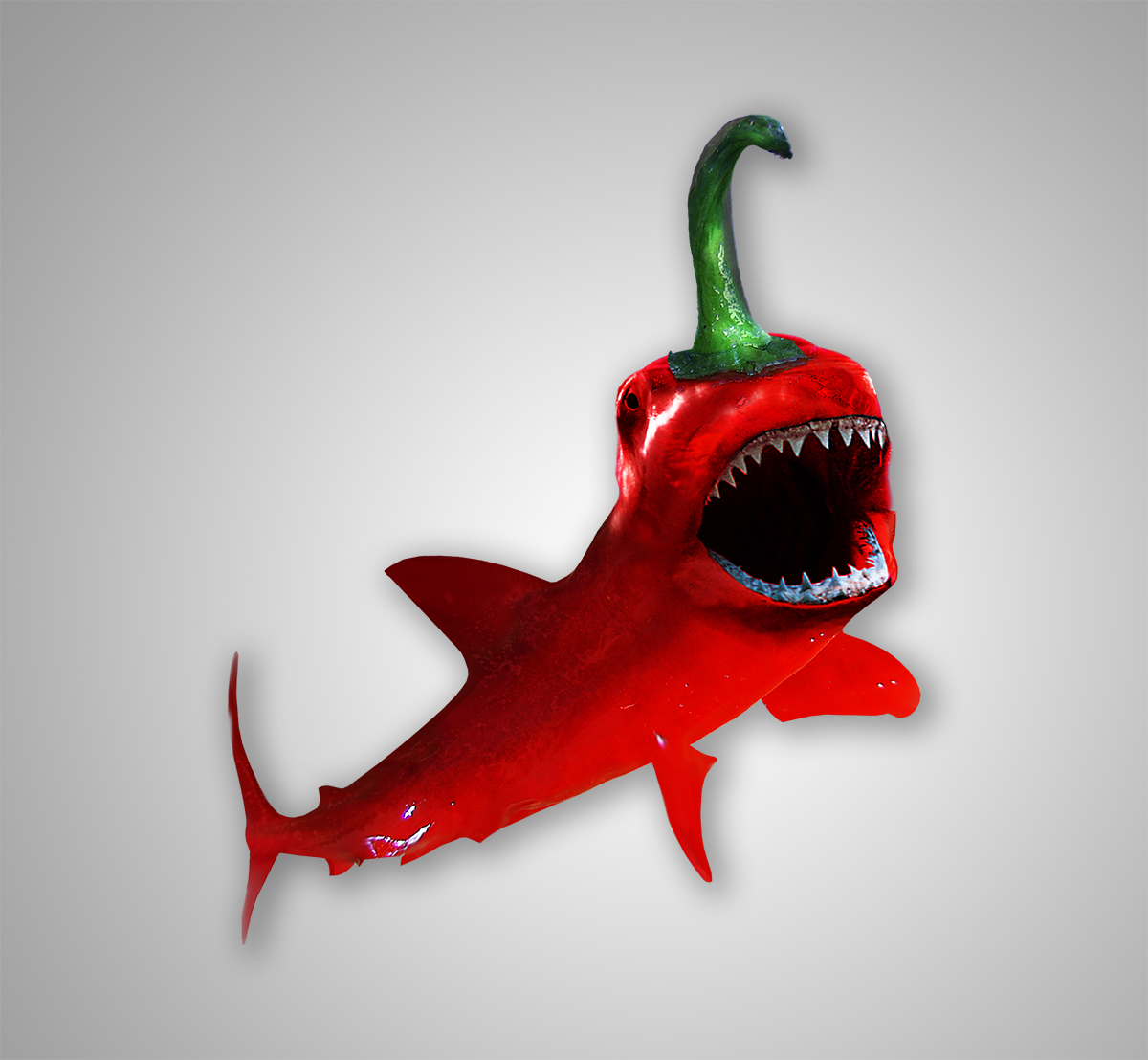 box creative Fun hot sauce pepper shark