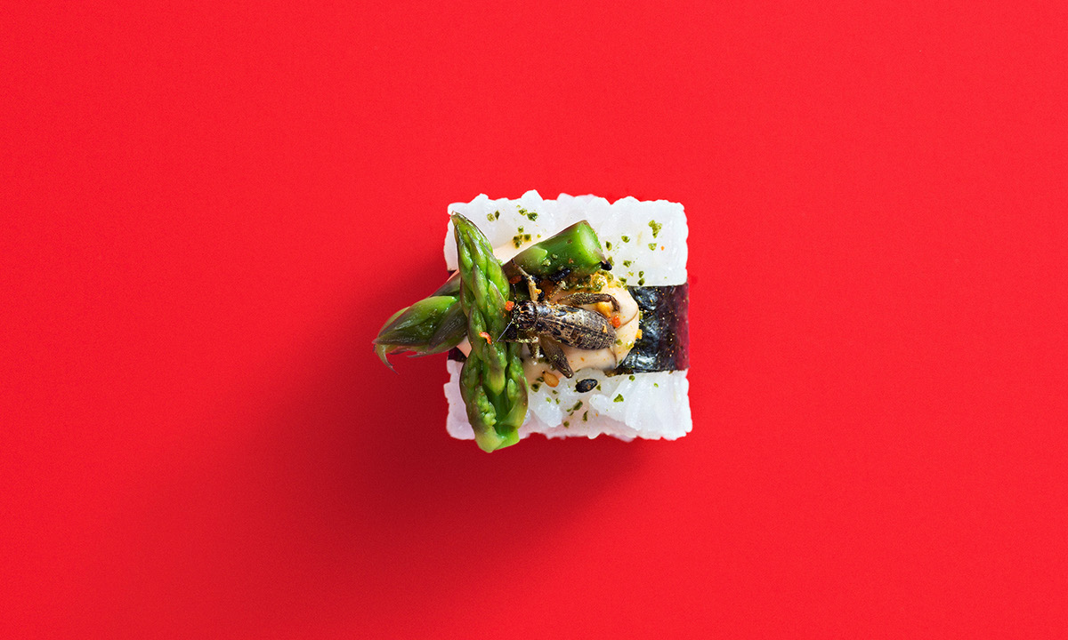 branding  visual identity restaurant Insects