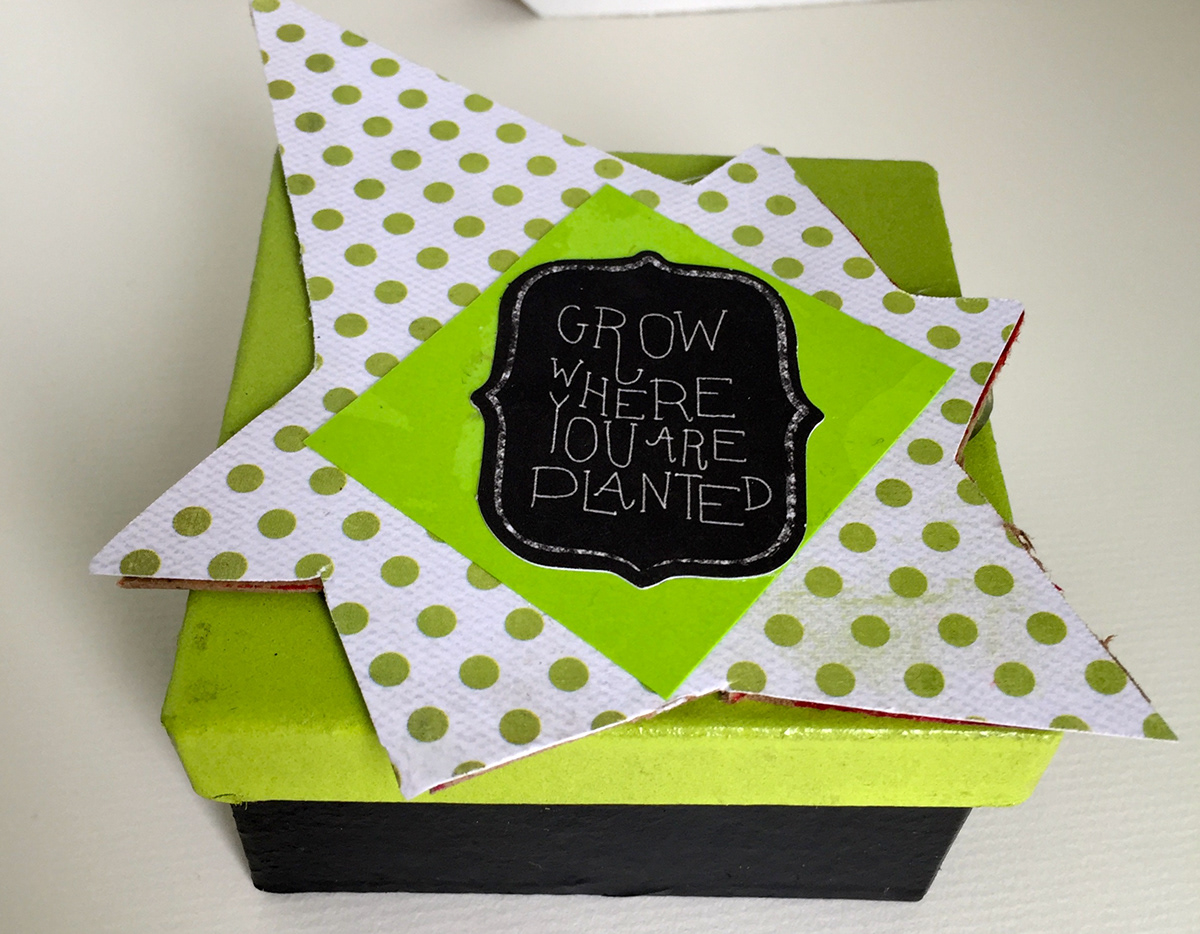 box gift box keepsake trinket Plant green asymmetric asymmetrical Nature grow