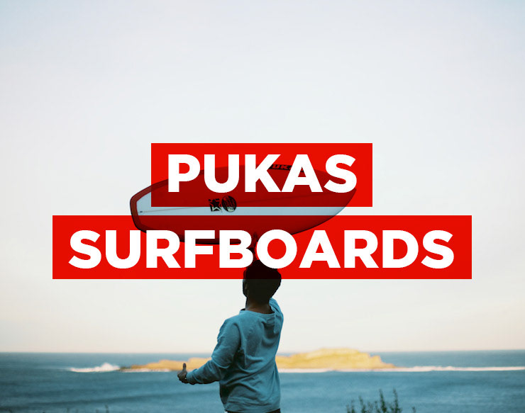 BigAirShop newsletter mailchimp skateboard Surf snowboard wakeboard Newsletter Design inspiration