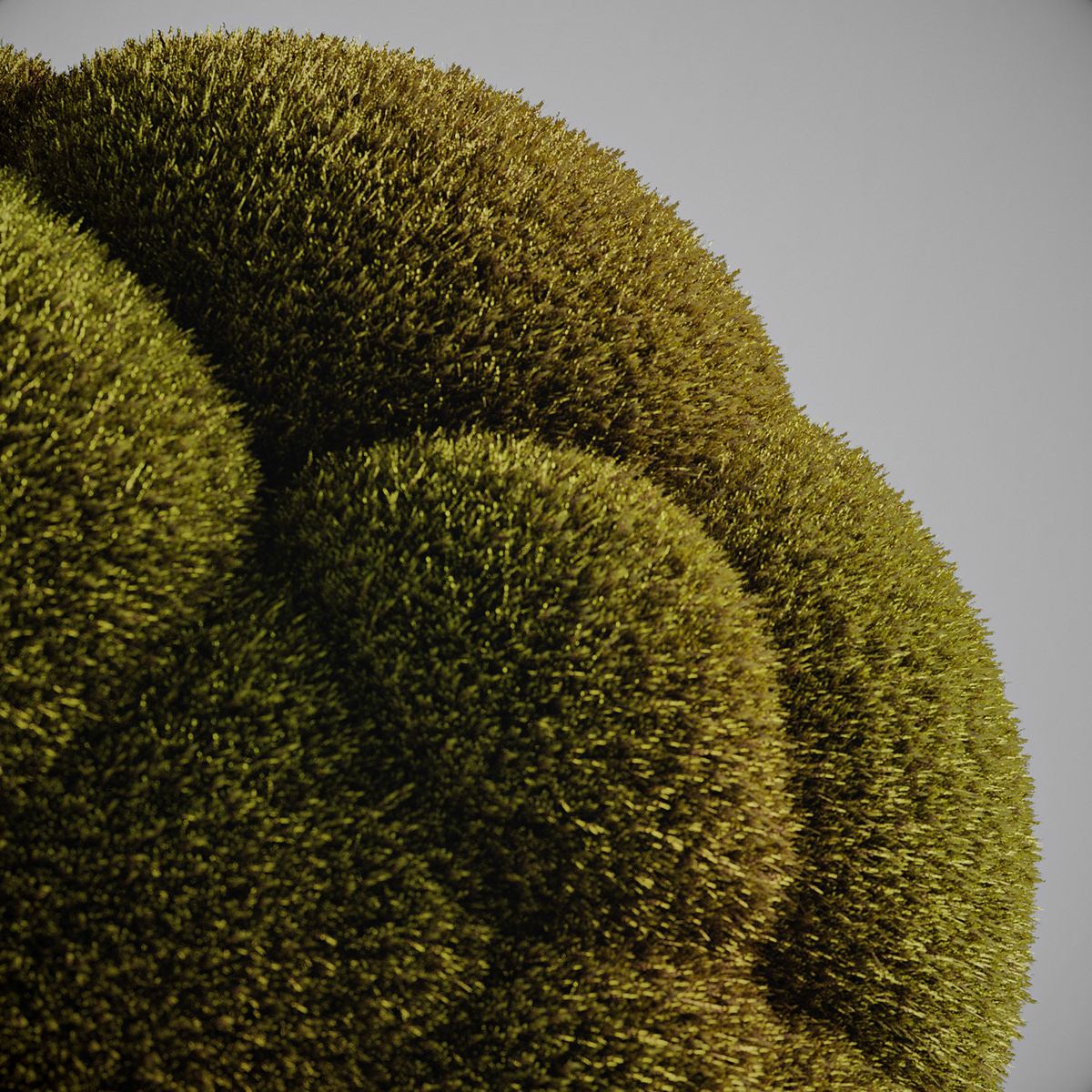 3D houdini photoreal plants Procedural substance