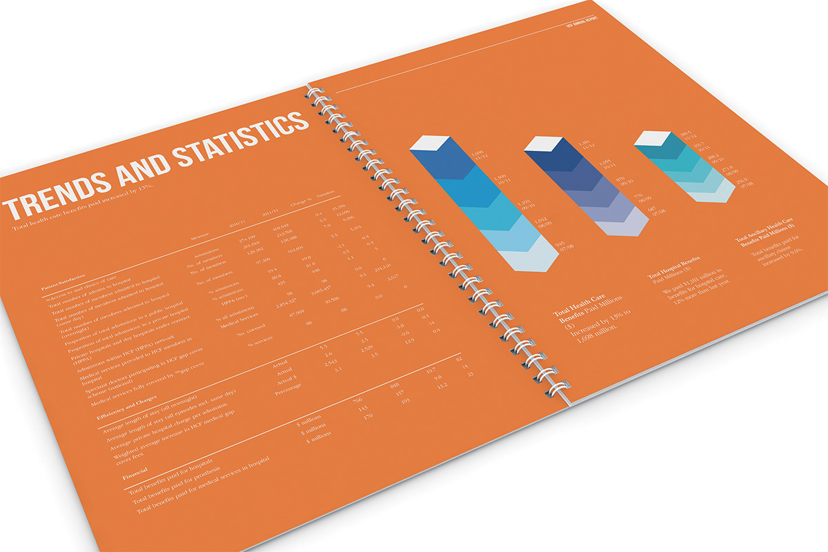 annual report hcf information design financial