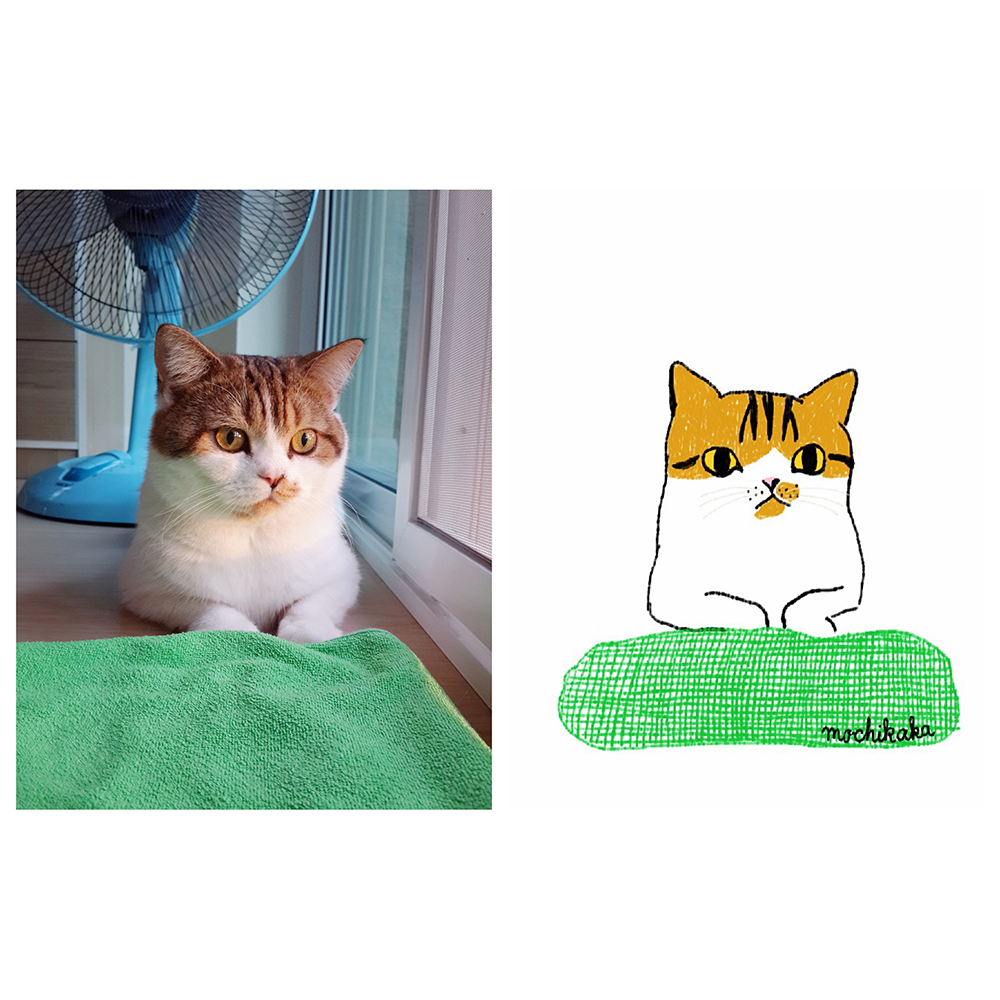 doodle draw Cat Scottish Fold