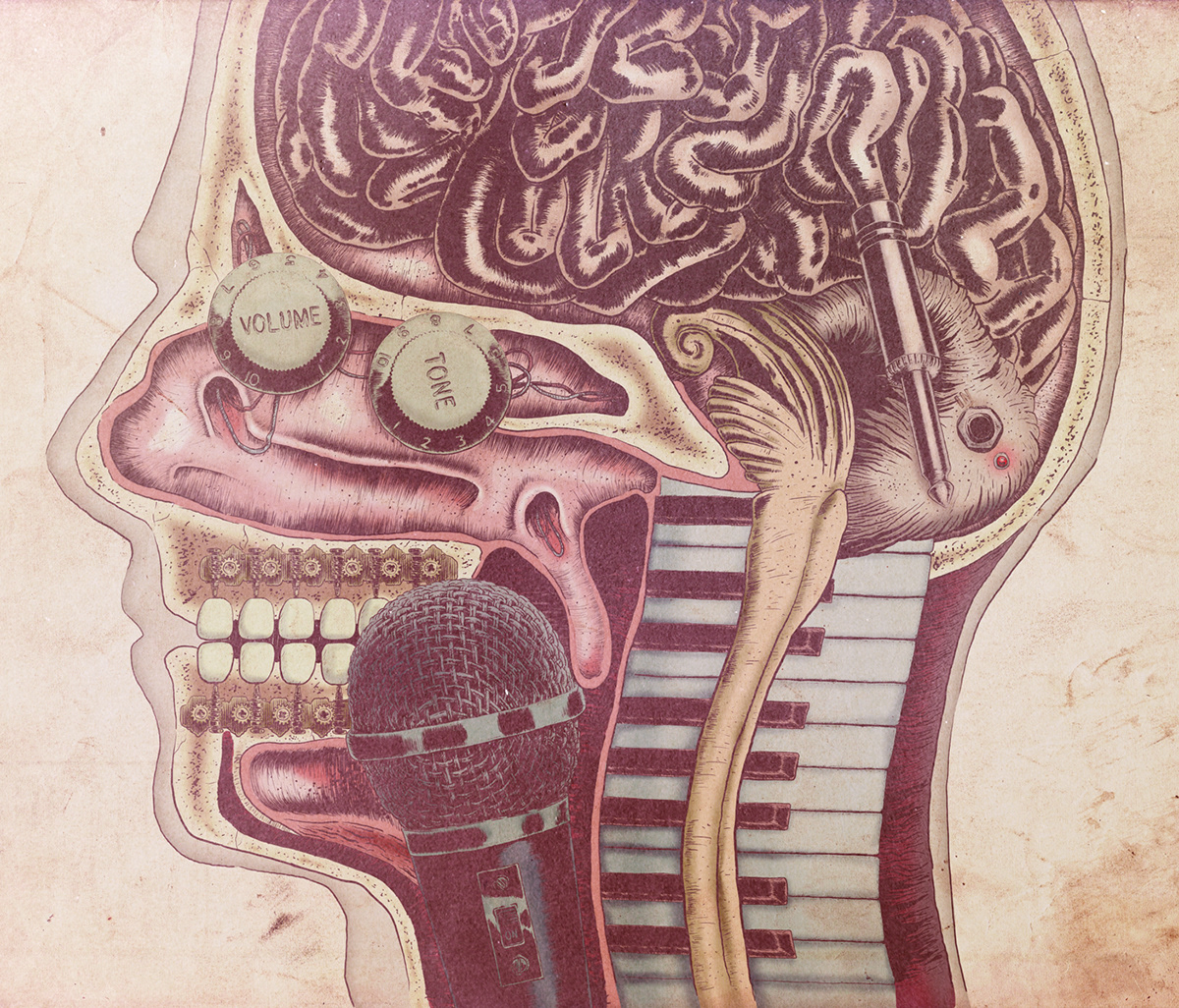 Wires skull biology brain guitar microphone Piano cd paper