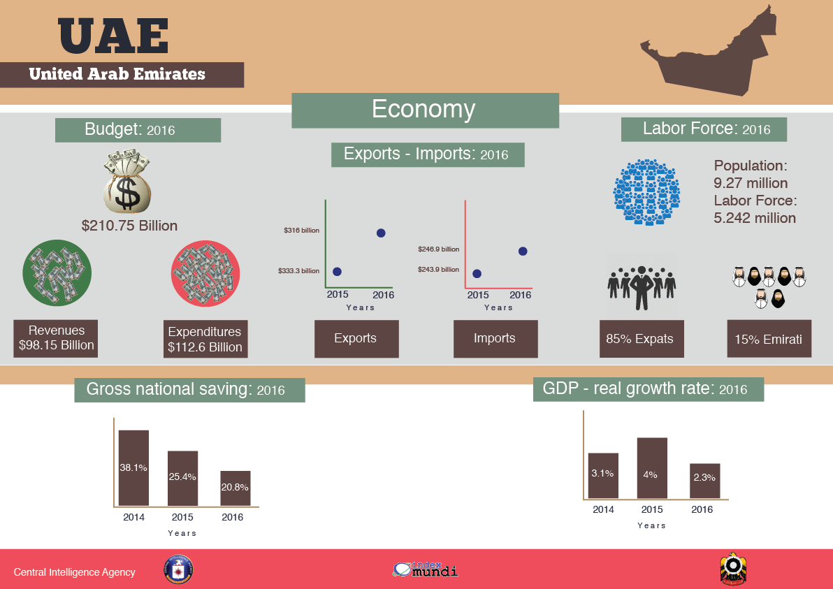 UAE infographics economy enegry Illustrator