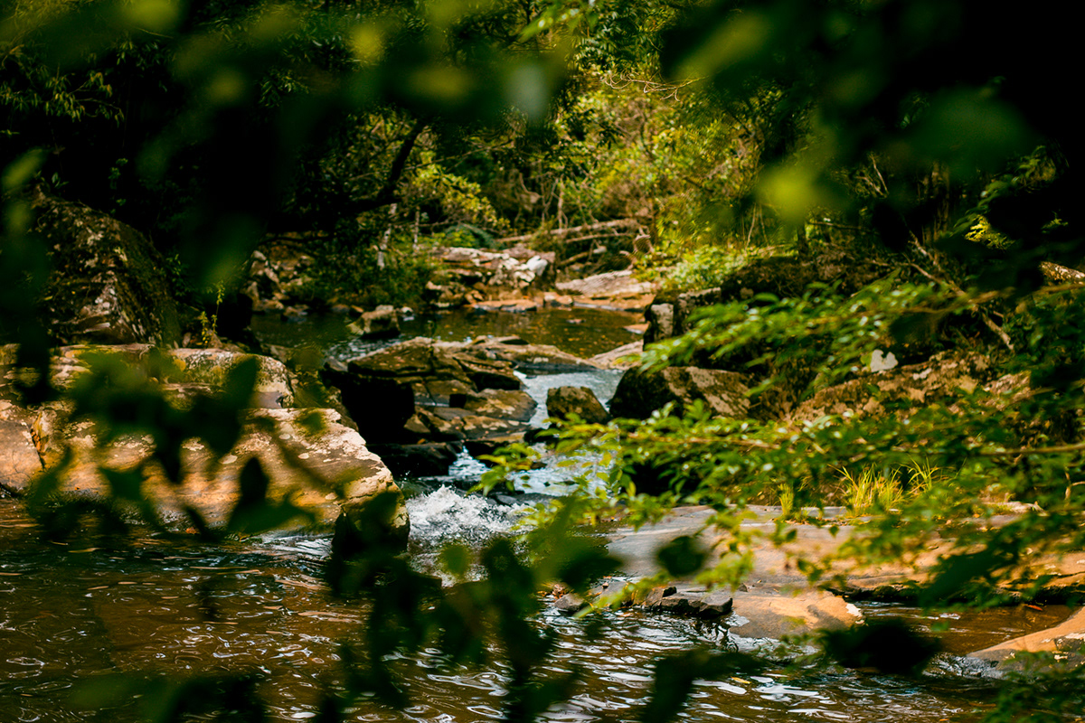 waterfall cachu cachoeira floripa sc Magic   place magicplace Nature natureza simple Day naturezalinda