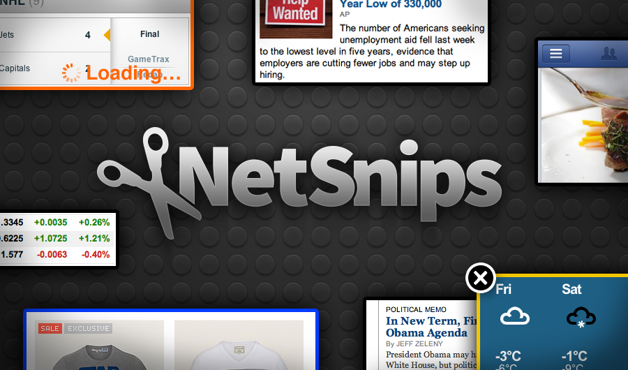 NetSnips  icon  app
