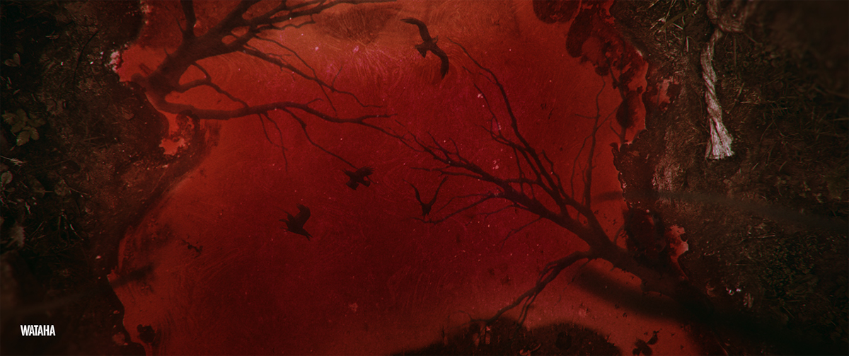 wataha the pack hbo opening titles motion design blood wolf crown raven faces forest river grass