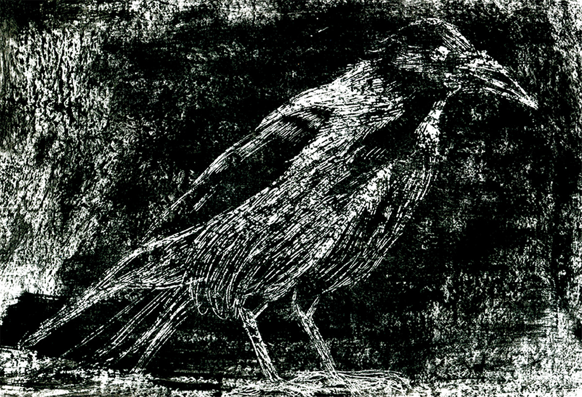 crow design ILLUSTRATION  paper raven Stylization ворона иллюстрация стилизация