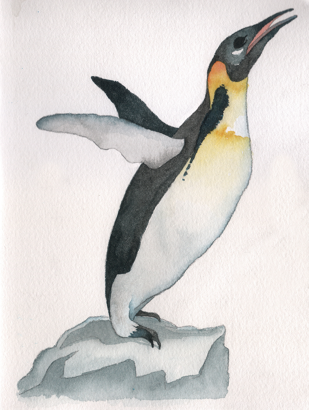 Image may contain: penguin, cartoon and bird