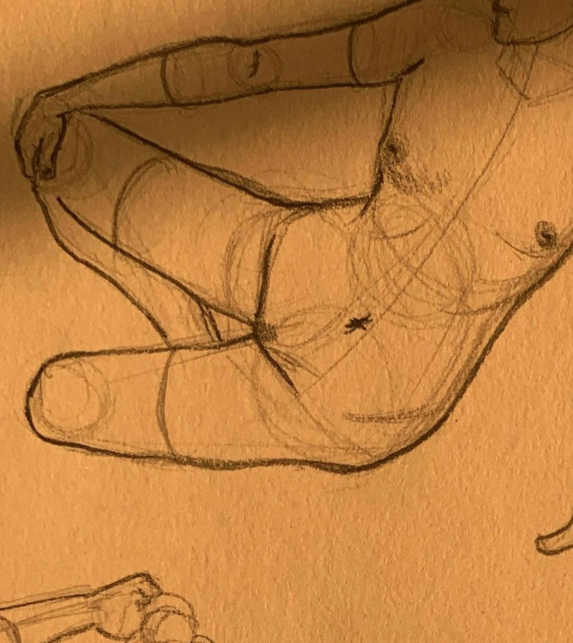 anatomy human pencil sketch sketch
