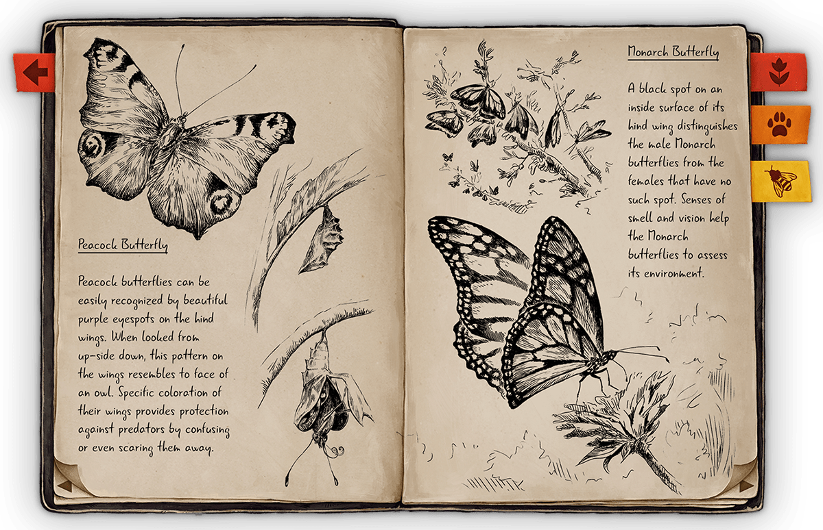 beesimulator Bestiary floral Flowers gameart Glossary ILLUSTRATION  Insects sketchbook sketches