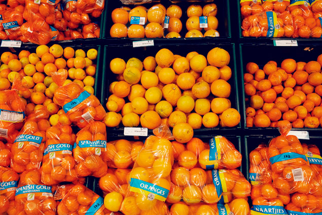 damco logistic fresh fruit south africa orange farms trucks containerships