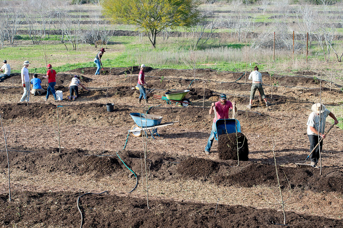 permaculture Sustainable farming organic green food forest contour farming  mother earth team work community team building country farm texas san marcos People Power