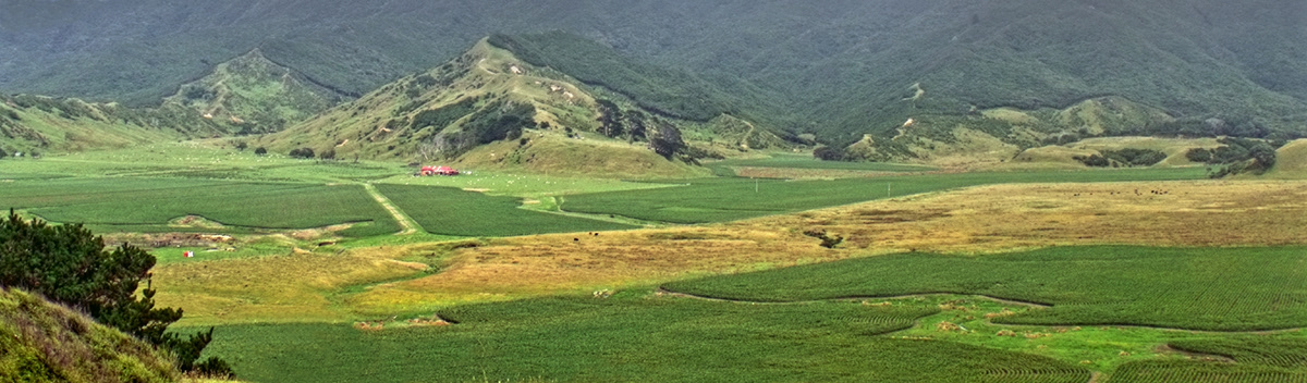 labdscape New Zealand vietnam Hong Kong sunset grass field