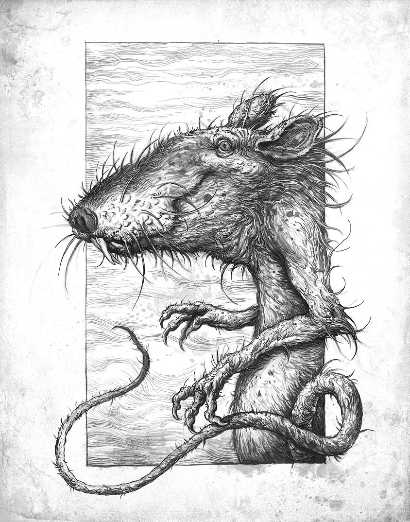 Bestiary fanastical creatures drawings