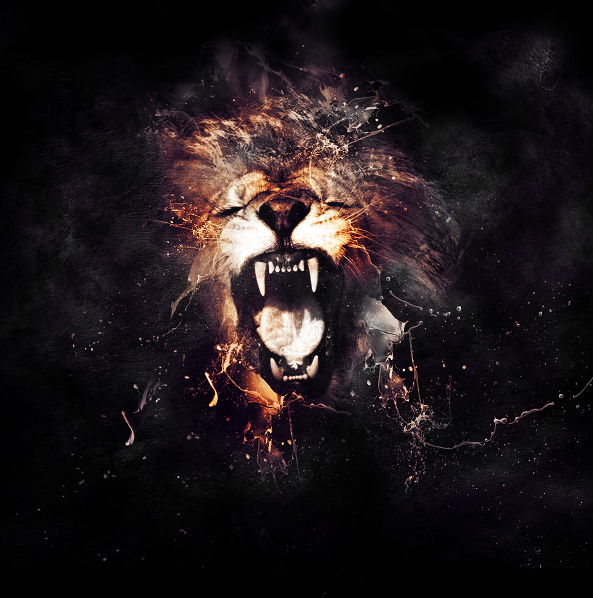 Photo Manipulation  animals lion photoshop