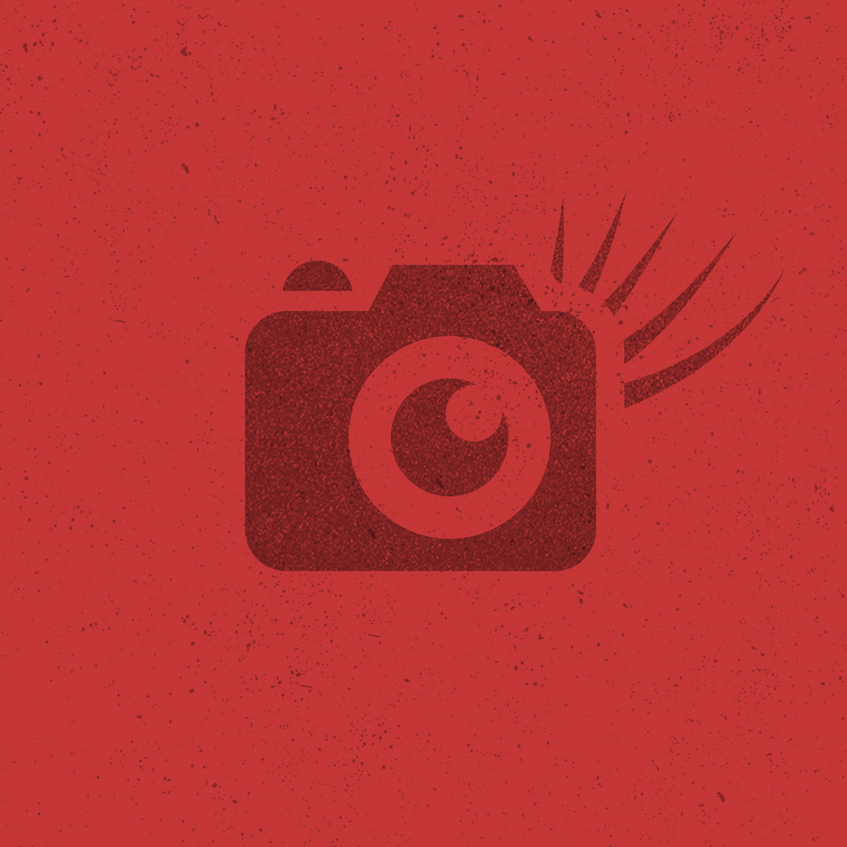 branding  logo Photography  camera badge Flash eyelash