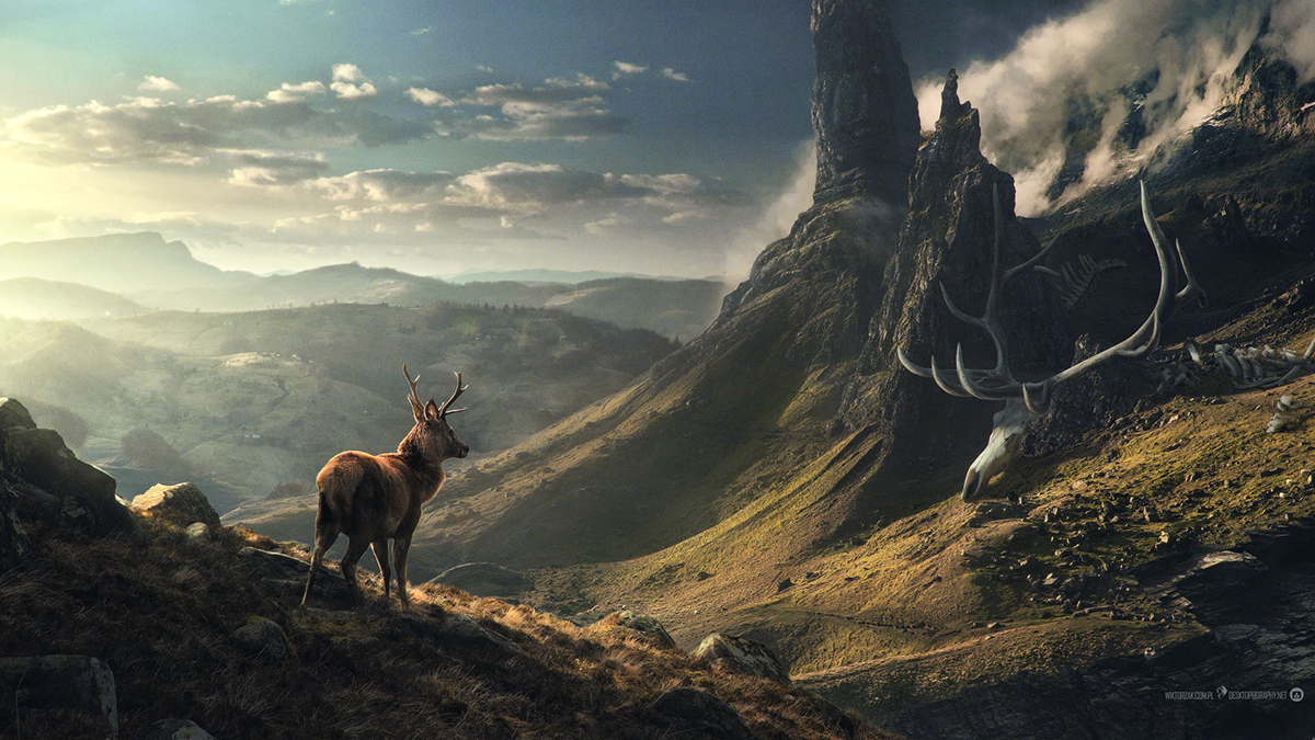 Digital Art  desktopography art direction  adobe Landscape wallpaper retouch deer mountains sunset