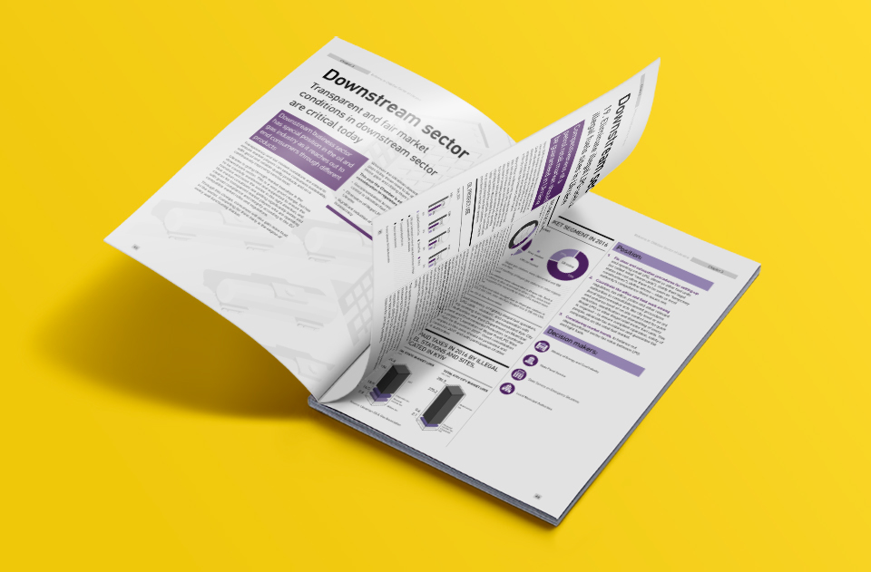 annual report Gas oil data viualisation infographics commercial minimal White graphic design  brochure