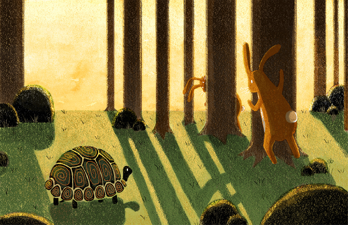 Turtle FOX rabbit Children's Picture Book ILLUSTRATION 
