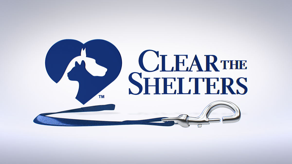 Clear The Shelters Show open