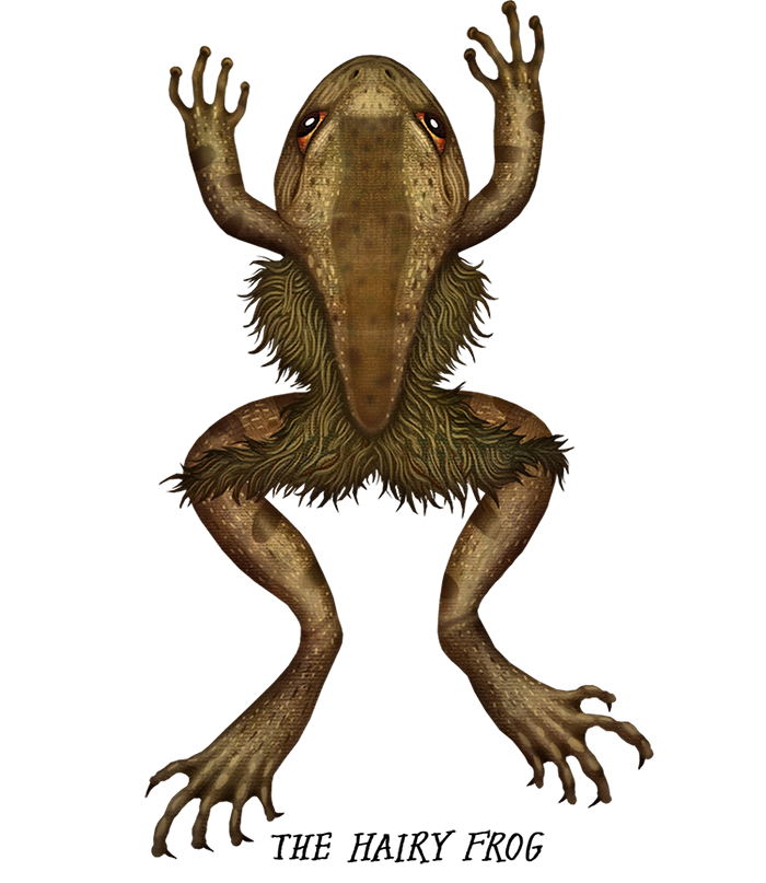 Earth Touch Crazy Monster Frogs Frog documentary frogs amphibians smithsonian channel toads The Smithsonian SciArt