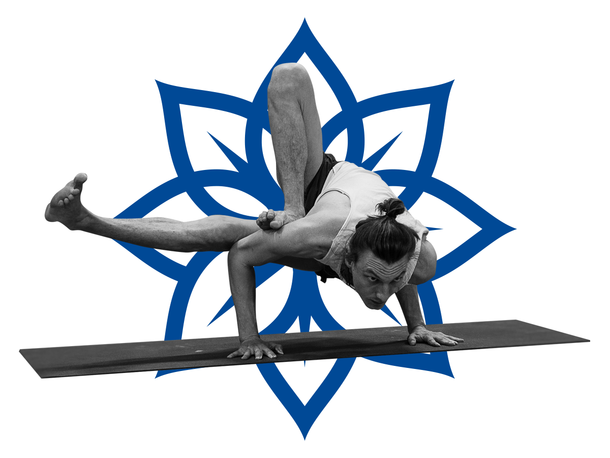 Yoga school Mandala Lotus meditation fitness sport logo