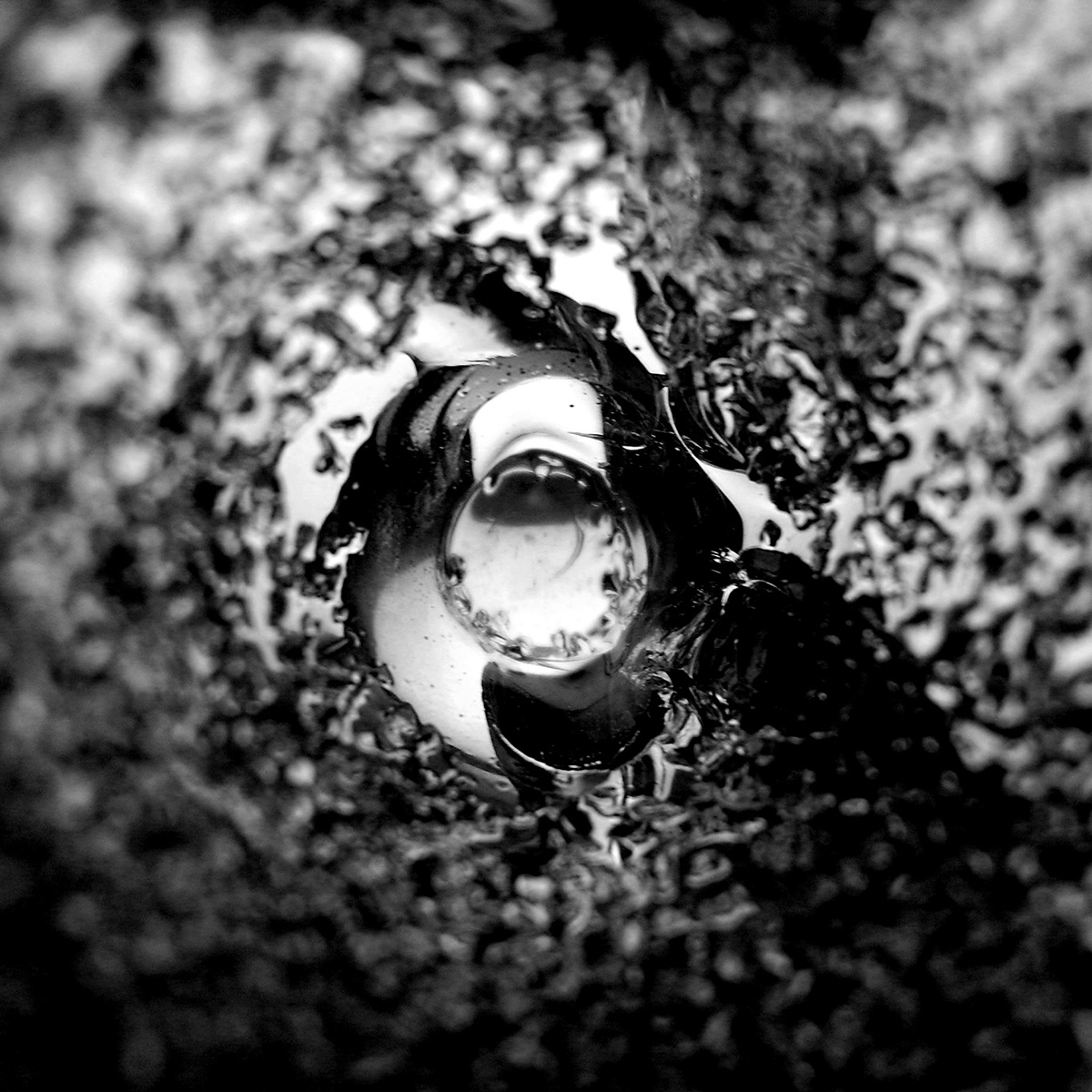ice glass water black and white gabriele bonavera light