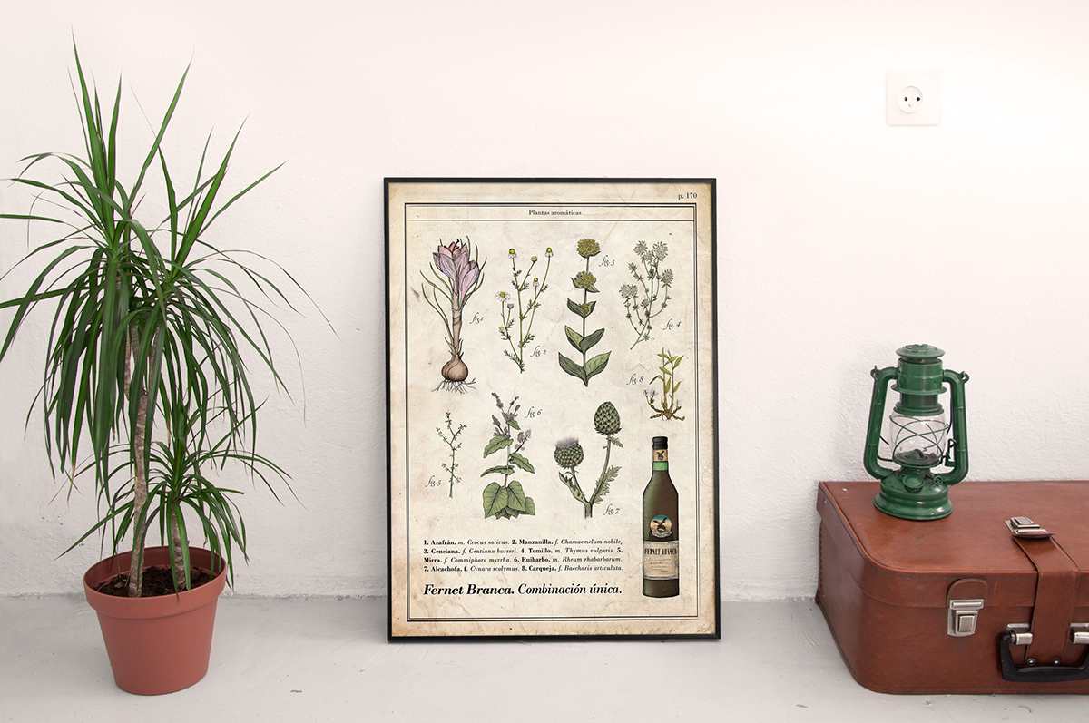 fernet Branca poster plantas botanica diseño ilustracion azafran manzanilla Genciana tomillo mirra Ruibardo cardamomo alcachofa