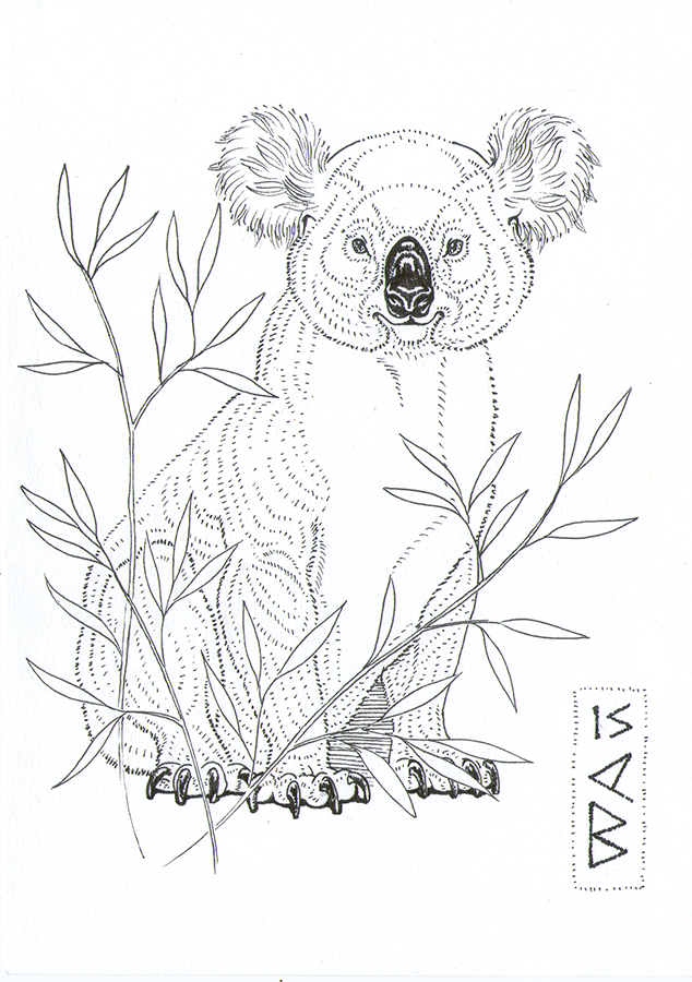inktober animals animal ink koala bear zebu racoon badger tortoise gorila cow zoo mammal Turtle